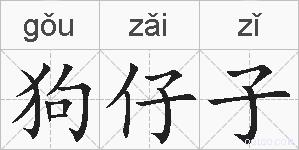 狗仔子的拼音