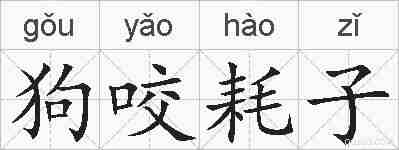 狗咬耗子的拼音