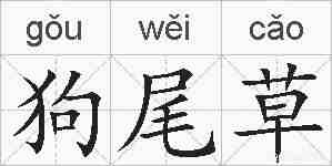 狗尾草的拼音