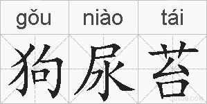 狗尿苔的拼音