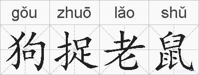 狗捉老鼠的拼音