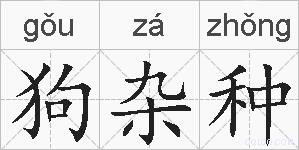 狗杂种的拼音