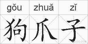 狗爪子的拼音