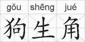 狗生角的拼音