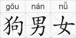 狗男女的拼音