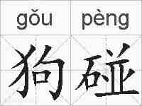 狗碰的拼音