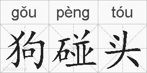 狗碰头的拼音