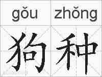 狗种的拼音
