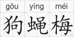 狗蝇梅的拼音