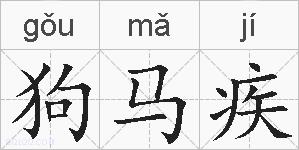 狗马疾的拼音