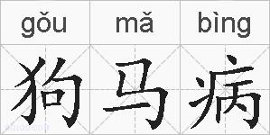 狗马病的拼音