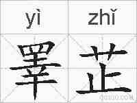 睪芷的拼音