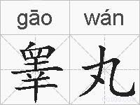 睾丸的拼音