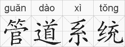 管道系统的拼音