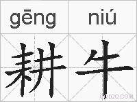 耕牛的拼音