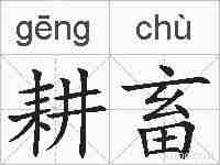 耕畜的拼音