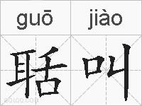 聒叫的拼音