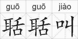 聒聒叫的拼音