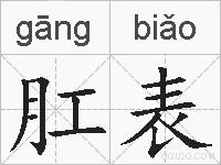 肛表的拼音