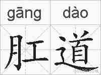 肛道的拼音