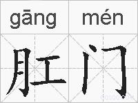 肛门的拼音