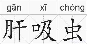 肝吸虫的拼音