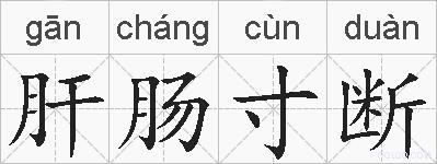 肝肠寸断的拼音