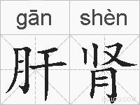 肝肾的拼音