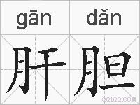 肝胆的拼音