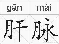 肝脉的拼音