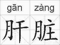 肝脏的拼音