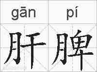 肝脾的拼音
