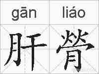 肝膋的拼音