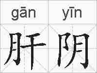 肝阴的拼音