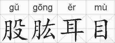 股肱耳目的拼音