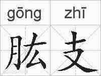 肱支的拼音