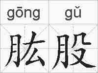 肱股的拼音