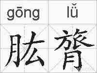 肱膂的拼音