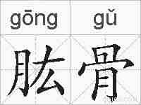 肱骨的拼音