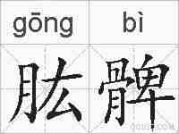 肱髀的拼音