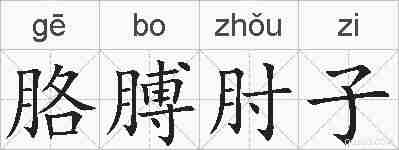 胳膊肘子的拼音