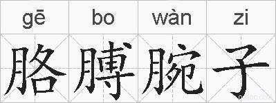 胳膊腕子的拼音