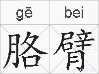 胳臂的拼音