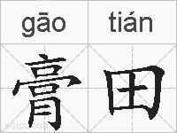 膏田的拼音