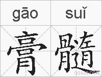膏髓的拼音
