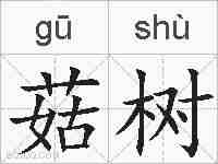 菇树的拼音