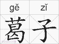 葛子的拼音