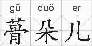 蓇朵儿的拼音