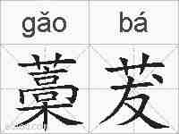 藁茇的拼音