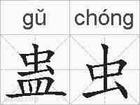 蛊虫的拼音
